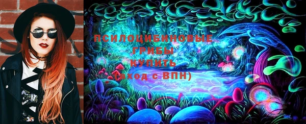 крисы Абдулино