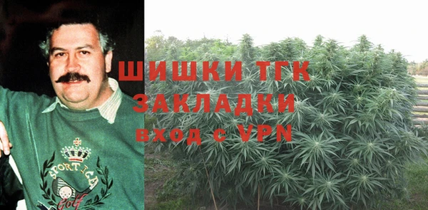 крисы Абдулино