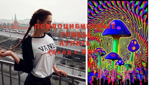 крисы Абдулино